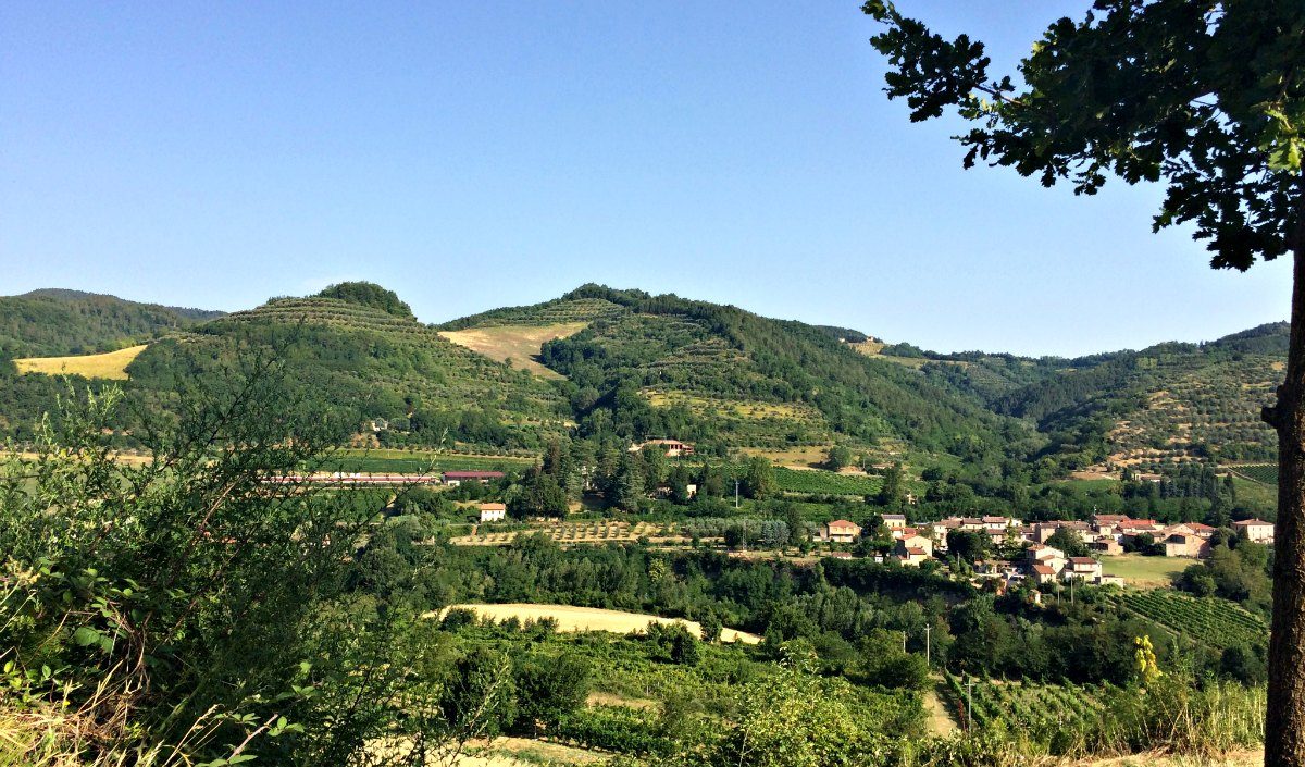 Le Valli della Romagna Toscana - Forli'