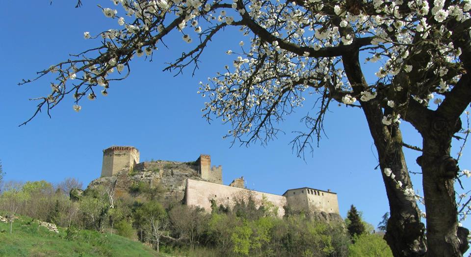 Paesaggi naturalistici in Romagna
